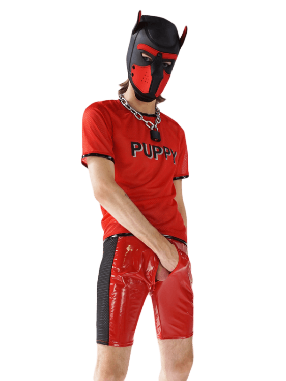 1TShirt Puppy Red copy.png