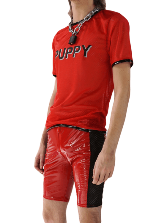 2TShirt Puppy Red.png