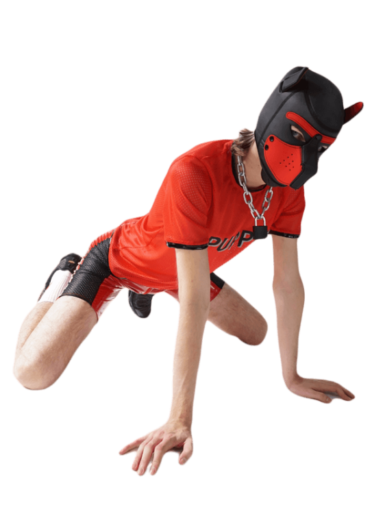 5TShirt Puppy Red.png