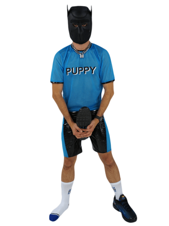 5TShirt Puppy Blue.png