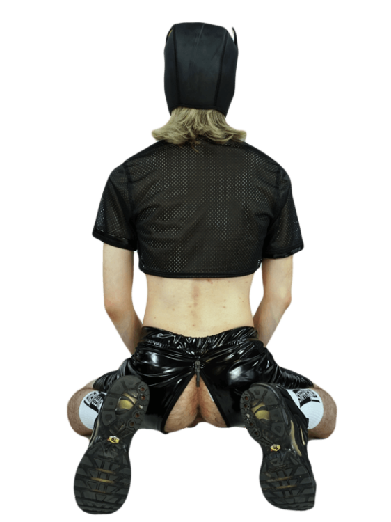 4Skinny Latex Shorts Puppy Black.png