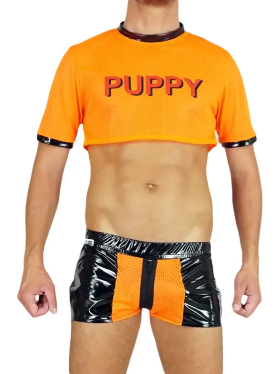 1Mesh Crop Top Orange.webp