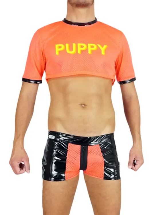1Mesh Crop Top Pink.webp