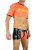 4Mesh Crop Top Pink.png