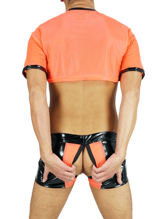 6Mesh Crop Top Pink.png