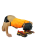 11Skinny Latex Shorts Orange.png