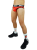 Nylon Briefs2.png