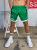 Shiny Sweatshorts Rocco Green1.png