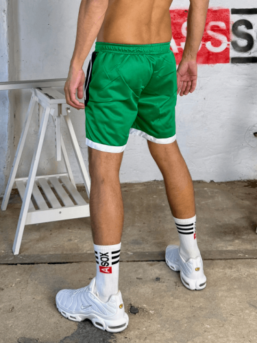 Shiny Sweatshorts Rocco Green2.png