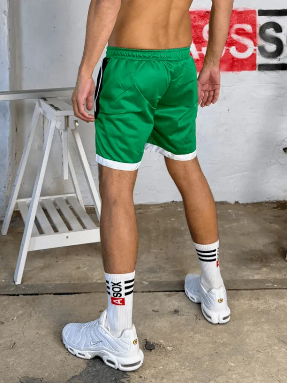 Shiny Sweatshorts Rocco Green2.png